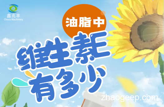 兆格分享：全自動液壓榨油機 維生素E是什么？什么食用油含維生素E高？